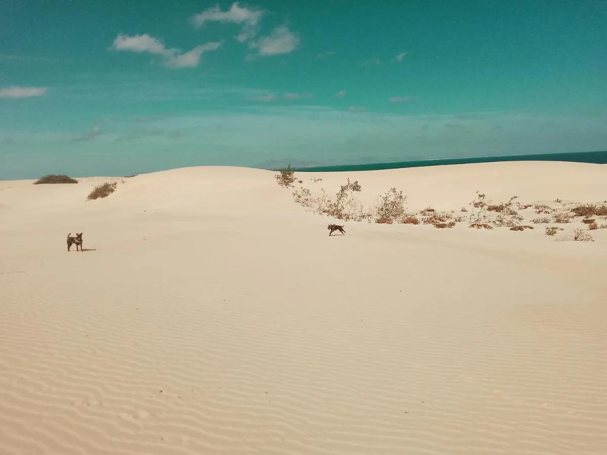 شقة Desert Of Love Fuerteventura كوستا كالما